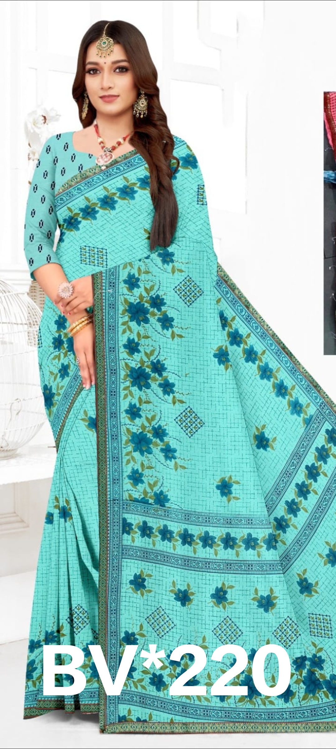 BARFI  SARI
